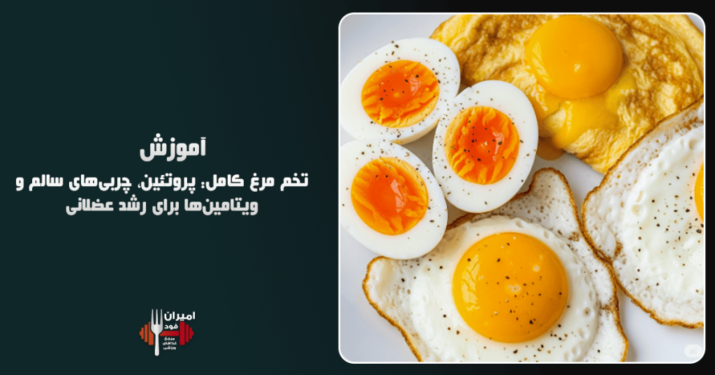 تخم مرغ کامل پروتئین، چربی‌های سالم و ویتامین‌ها برای رشد عضلانی آموزش