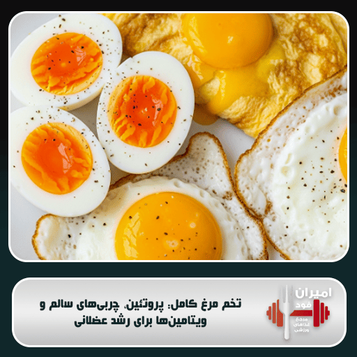 تخم مرغ کامل: پروتئین، چربی‌های سالم و ویتامین‌ها برای رشد عضلانی