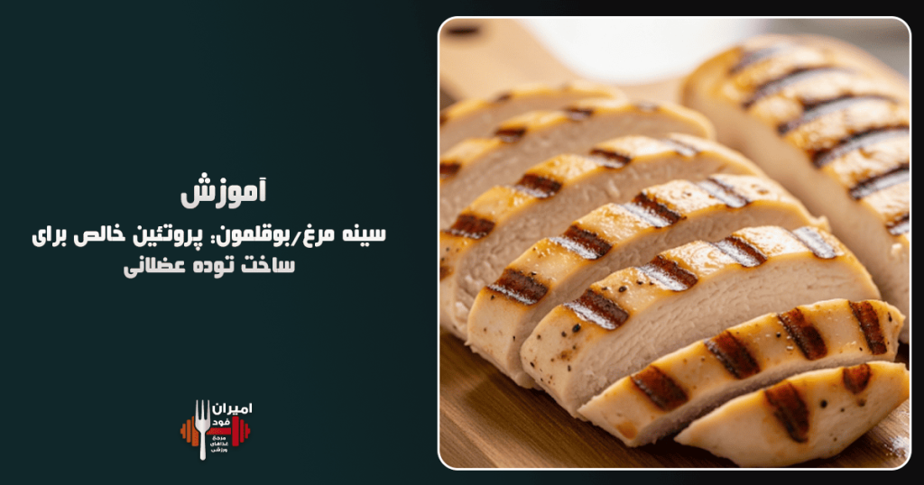 سینه مرغ بوقلمون پروتئین خالص برای ساخت توده عضلانی آموزش