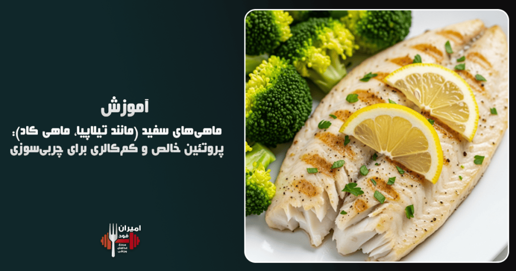 ماهی‌های سفید (مانند تیلاپیا، ماهی کاد) پروتئین خالص و کم‌کالری برای چربی‌سوزی آموزش