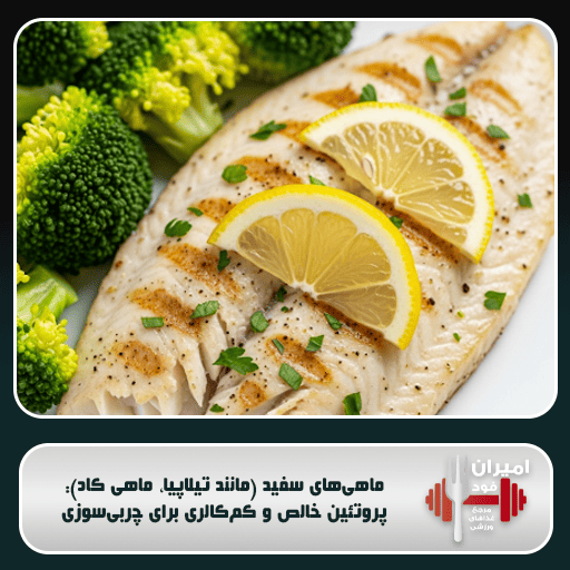 ماهی‌های سفید (مانند تیلاپیا، ماهی کاد): پروتئین خالص و کم‌کالری برای چربی‌سوزی