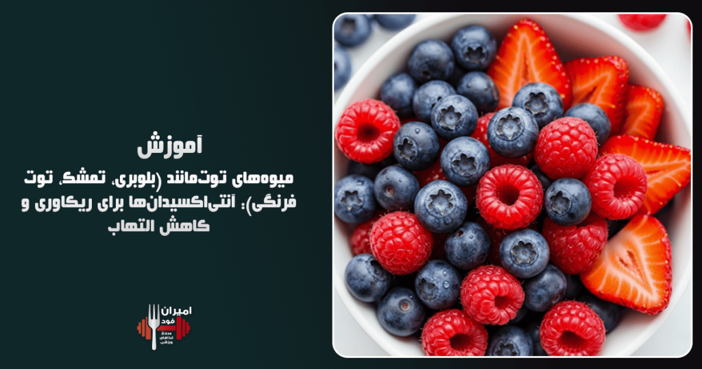میوه‌های توت‌مانند (بلوبری، تمشک، توت فرنگی) آنتی‌اکسیدان‌ها برای ریکاوری و کاهش التهاب آموزش